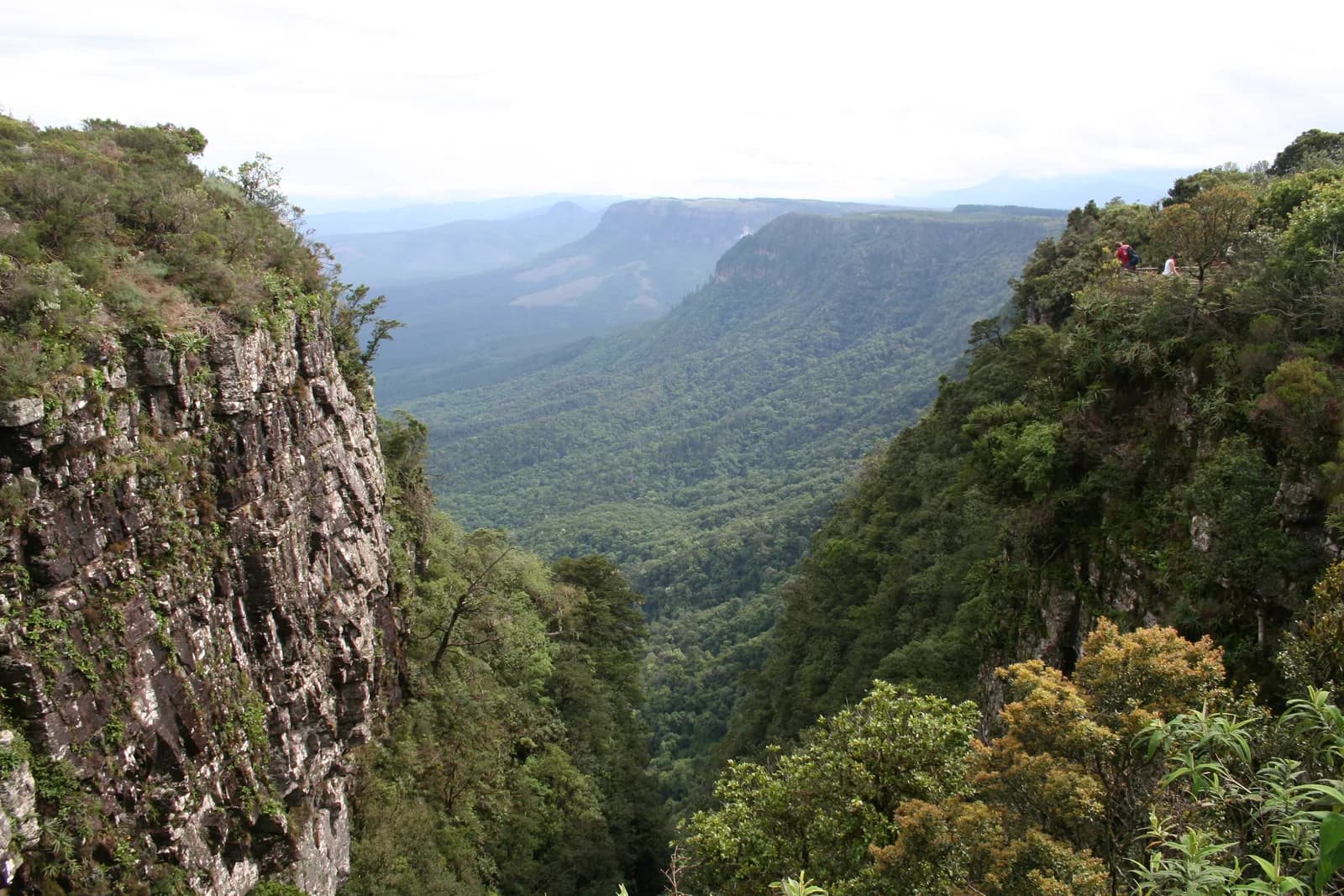 The view from God's Window over the Lowveld